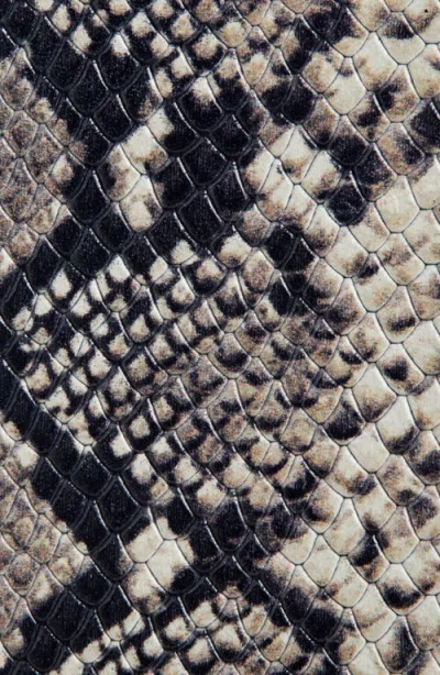 Martine Rose Classic Champagne Cap Snakeskin Embossed Leather Belt In Gray