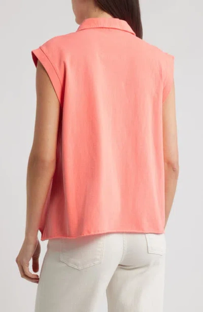 Frank & Eileen Popover Collar Top In Animal Print