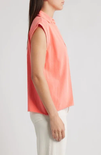 Frank & Eileen Popover Collar Top In Animal Print