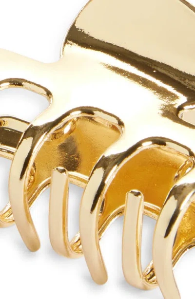 Tasha Assorted 2-pack Mini Jaw Clips In Gold