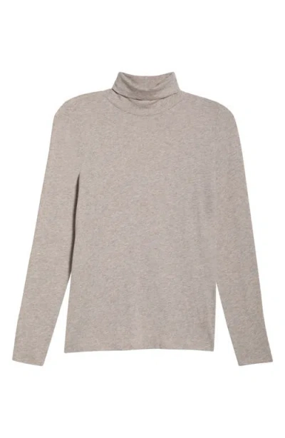 Eileen Fisher Long Sleeve Turtleneck Top In Gray