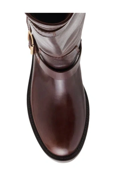 Steve Madden Sady Boot In Brown