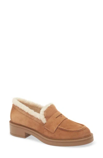 Stuart Weitzman Celia Lite Genuine Shearling Loafer In Brown