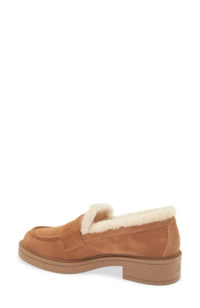 Stuart Weitzman Celia Lite Genuine Shearling Loafer In Brown