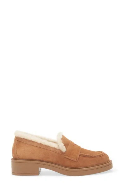 Stuart Weitzman Celia Lite Genuine Shearling Loafer In Brown