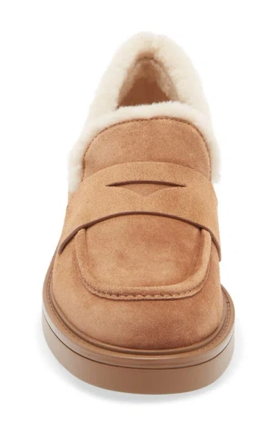 Stuart Weitzman Celia Lite Genuine Shearling Loafer In Brown