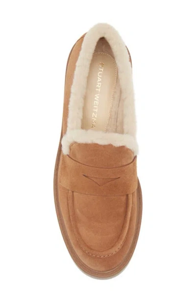 Stuart Weitzman Celia Lite Genuine Shearling Loafer In Brown