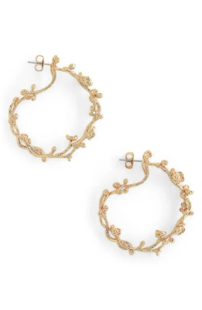 Anabel Aram Jewelry Orchid Hoop Earrings In Gold