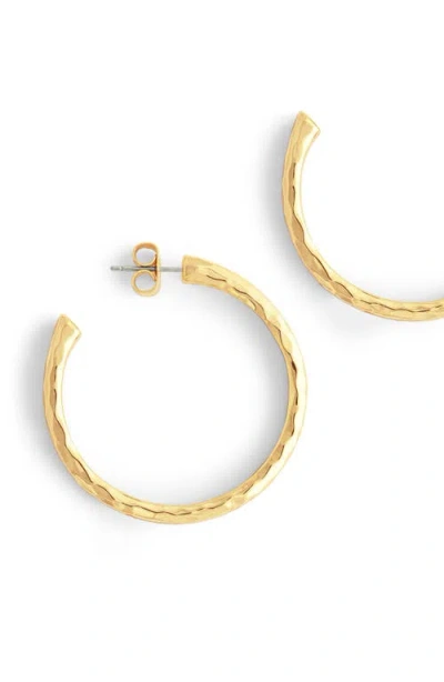 Anabel Aram Jewelry Medium Farrier Hoop Earrings In Gold