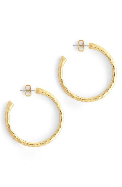 Anabel Aram Jewelry Medium Farrier Hoop Earrings In Gold