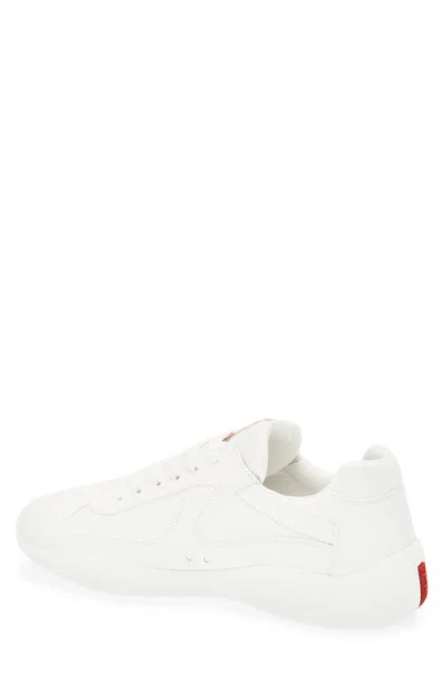 Prada America's Cup Sneaker In Animal Print