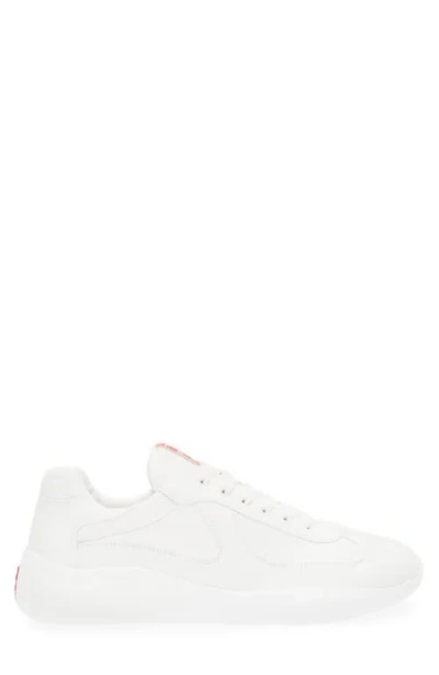 Prada America's Cup Sneaker In Animal Print