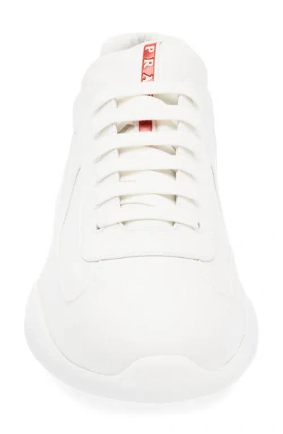 Prada America's Cup Sneaker In Animal Print