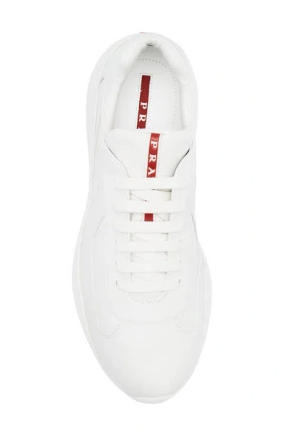 Prada America's Cup Sneaker In Animal Print