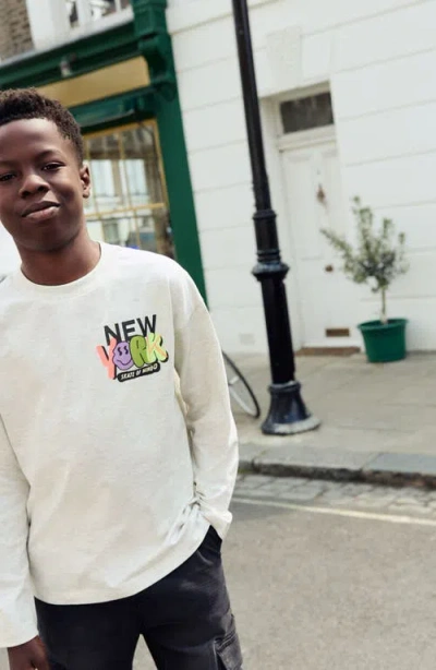 Next Kids' New York Long Sleeve Graphic T-shirt In Gray