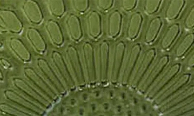 Voluspa Temple Moss Small Jar Candle In Green