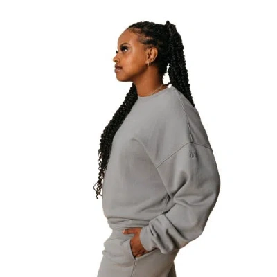 Ocio Organic Cotton Teddy Oversized Crewneck In Gray