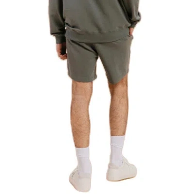 Ocio Classic Softcore Short In Gray
