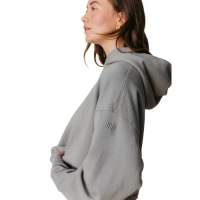 Ocio Organic Cotton Teddy Oversized Hoodie In Gray