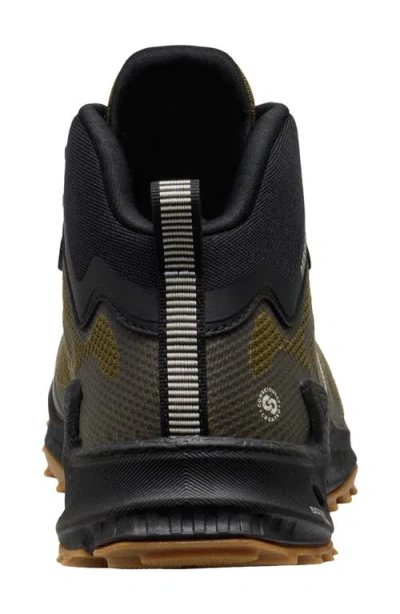 Keen Zionic Nxt Waterproof Hiking Sneaker In Multi