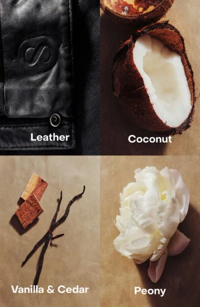 Sidia Braless: The Body Mist In Transparent