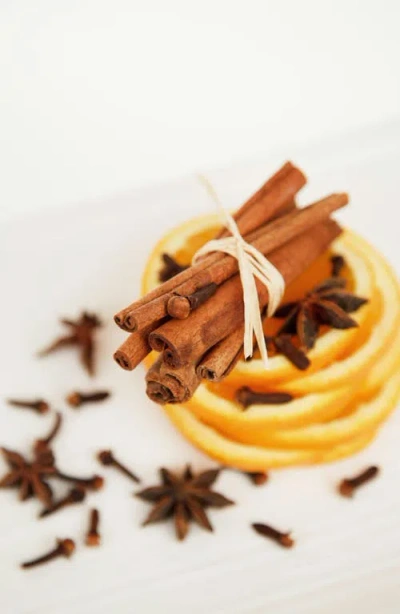 Vitruvi Plug-in Scent Refill In Red