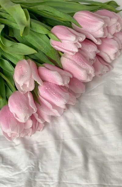 Vitruvi Fragrance Refill For Diffuser In Blue