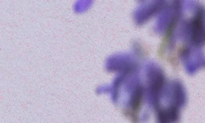 Vitruvi Fragrance Refill For Diffuser In Purple