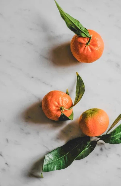 Vitruvi Plug-in Scent Refill In Blue