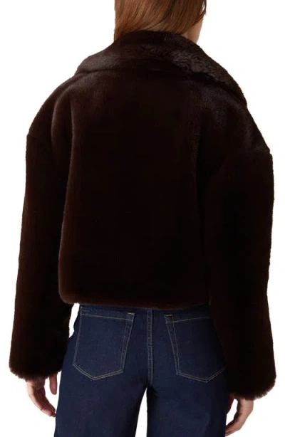 Blanknyc Crop Faux Fur Jacket In Brown