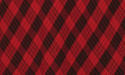 Bella Dahl Plaid Maxi Skirt In Red