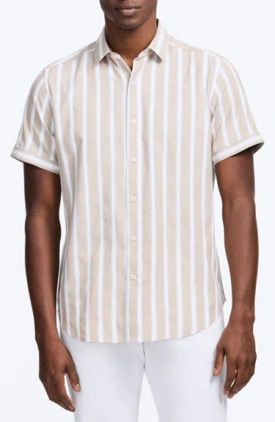 Robert Graham Preston Stripe Short Sleeve Cotton Blend Button-up Shirt In White