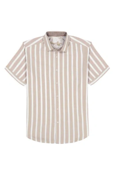 Robert Graham Preston Stripe Short Sleeve Cotton Blend Button-up Shirt In White