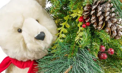 Ditz Designs Winter Wonderland Polar Bear Decoration In Green