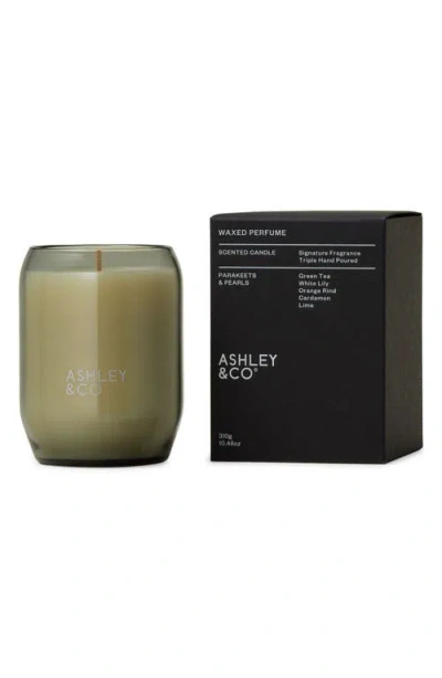 Ashley & Co Waxed Perfume Scented Candle In Green
