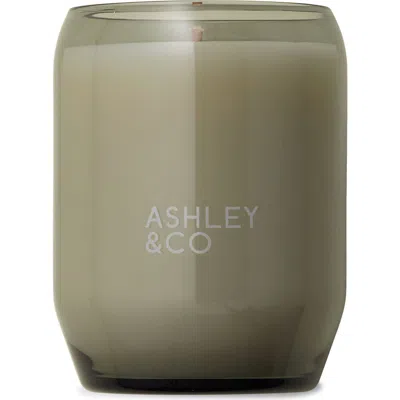 Ashley & Co Waxed Perfume Scented Candle In Green