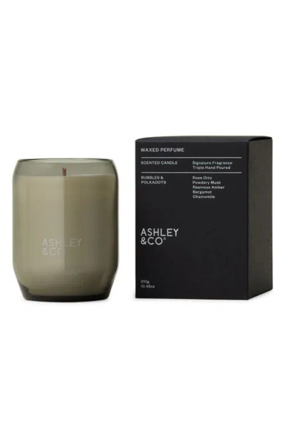 Ashley & Co Waxed Perfume Scented Candle In Green