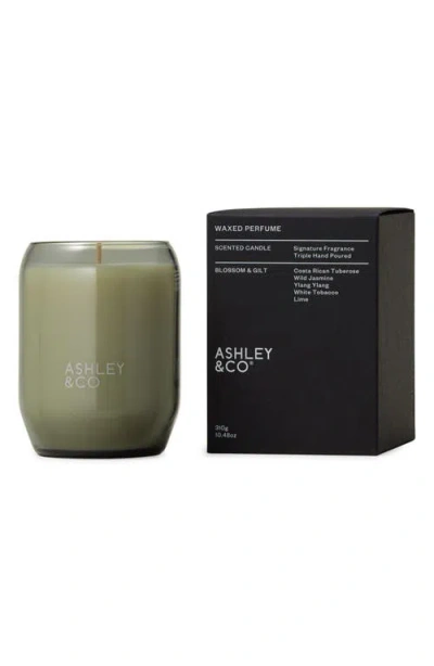 Ashley & Co Waxed Perfume Scented Candle In Green