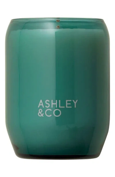 Ashley & Co Tui & Kaili Candle Outdoor Edition In Green