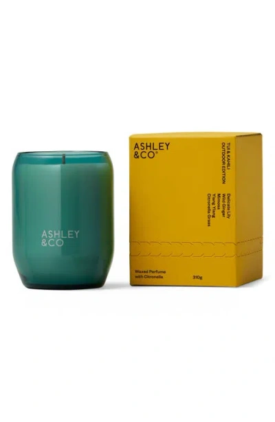 Ashley & Co Tui & Kaili Candle Outdoor Edition In Green