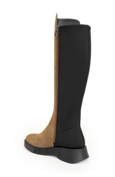 Aerosoles Flavia Knee High Boot In Brown