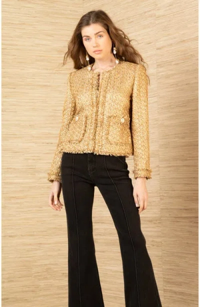 Hale Bob Magdalena Boucle Tweed Jacket In Multi