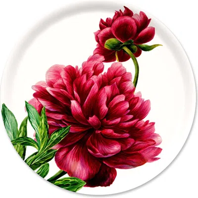 Caskata Birchwood Trays-wood & Melamine In Red