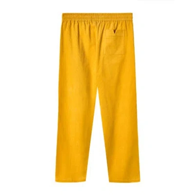 Tombolo Easy-going Pants In Orange