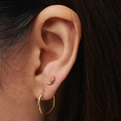Whit Jewelry 14k Yellow Gold Chili Stud In Gold