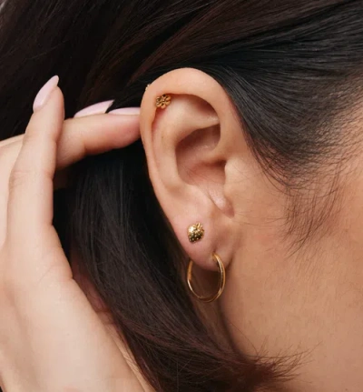 Whit Jewelry 14k Yellow Gold Daisy Stud In Gold