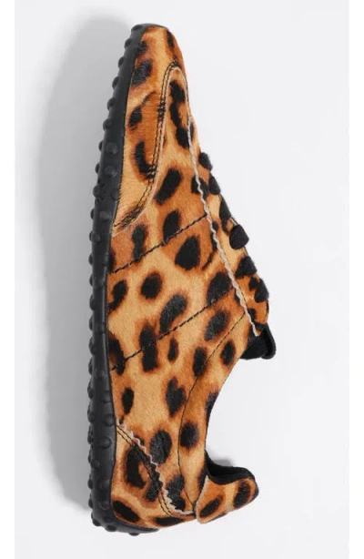 Bimba Y Lola Leopard-print Lace-up Sneakers In Brown