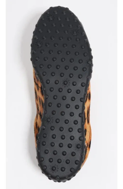 Bimba Y Lola Leopard-print Lace-up Sneakers In Brown