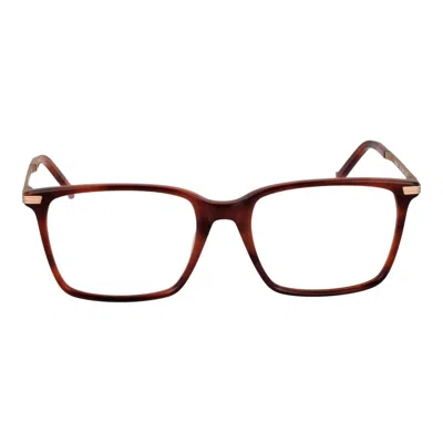 Hackett Brown Men Optical Frames In Brown