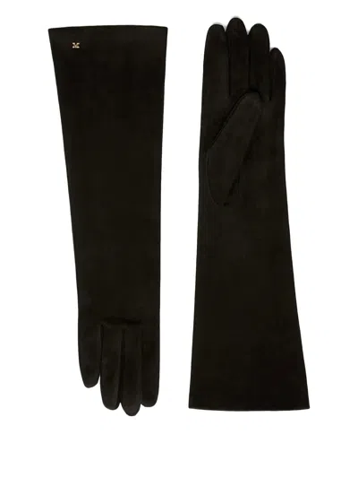 Max Mara Afideesuede Gloves In Suede Nappa In Black